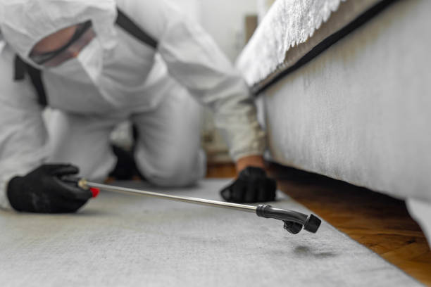 Professional Bed Bug Control technician working in North Hobbs, NM